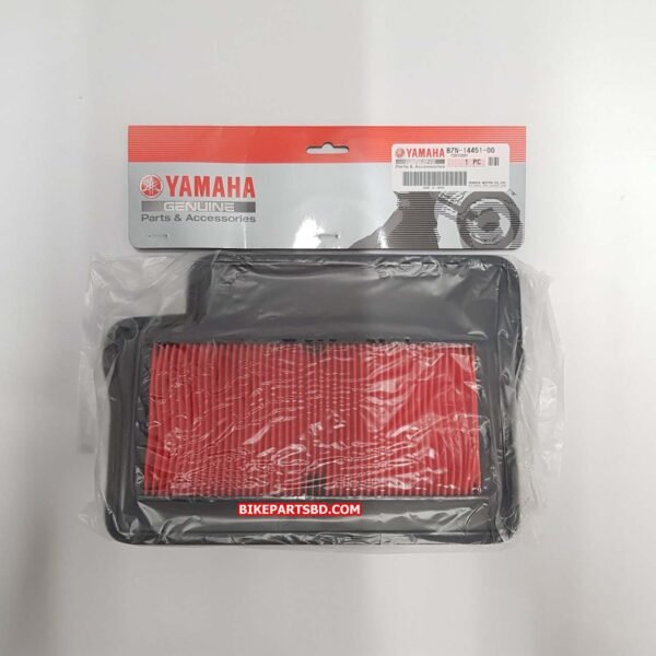 Yamaha Ray Zr Street Rally Fi 125 Hybrid Air Filter/Cleaner